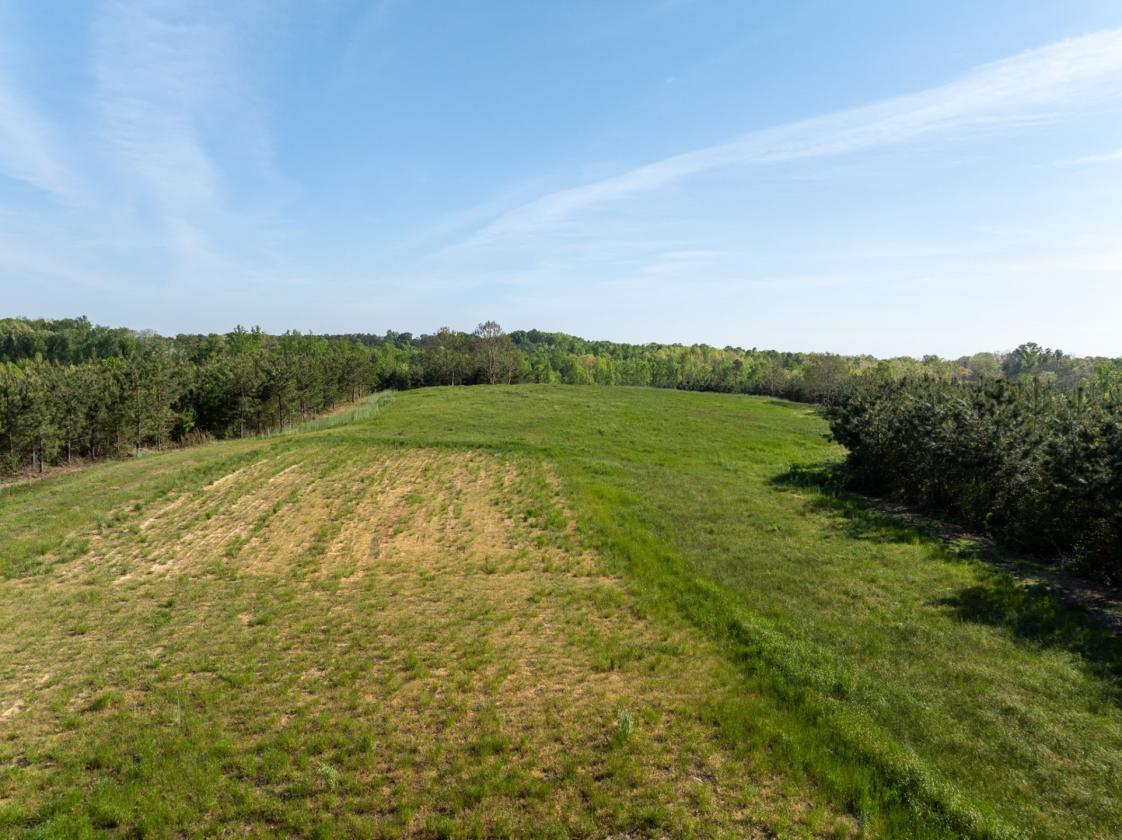 169 Acres, pastures, creeks, pond sites and trees - photo 11