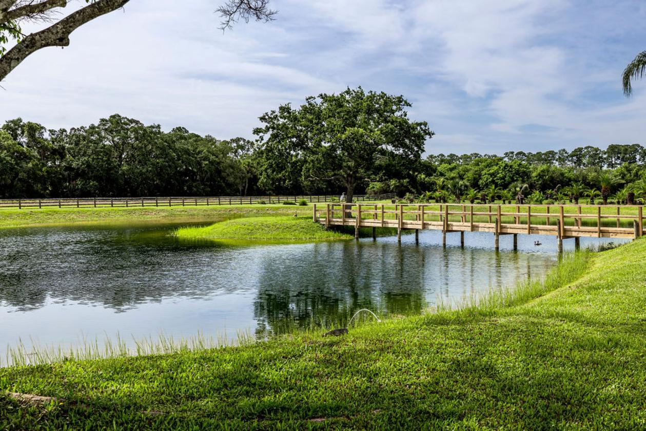 Gated 18.1± Acre Equestrian Estate - photo 24