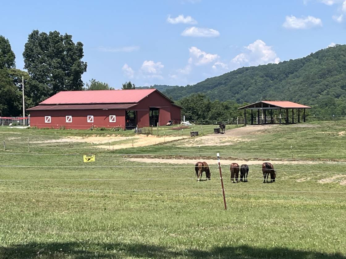 Horse Property for sale.