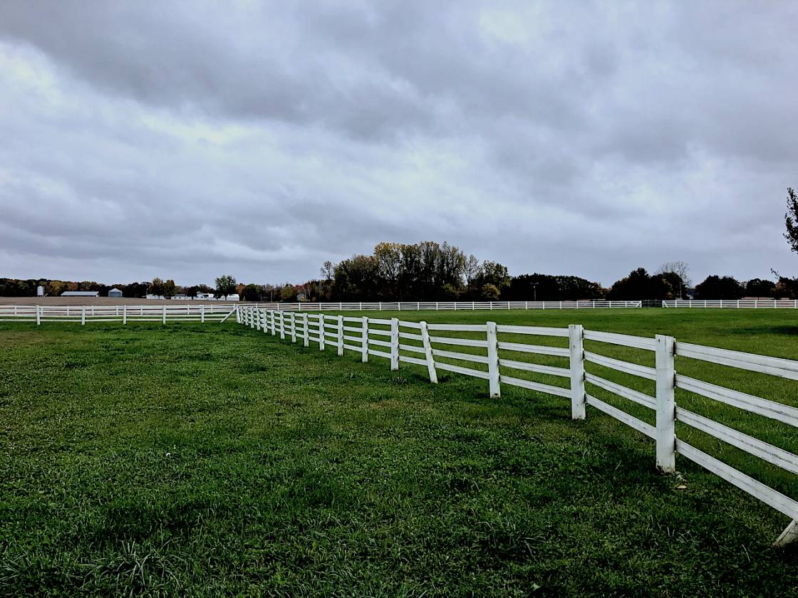 Stunning Home on 10 acres with Paddock & Fencing for... Mount