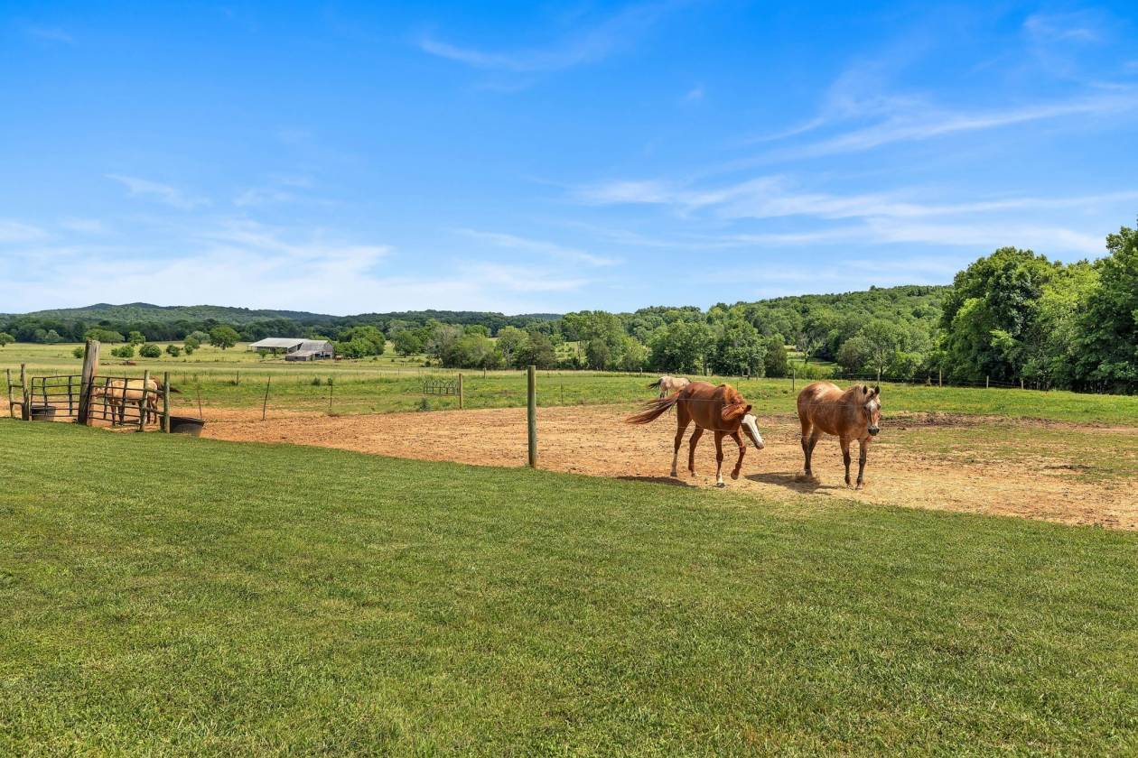 Horse Property for sale.