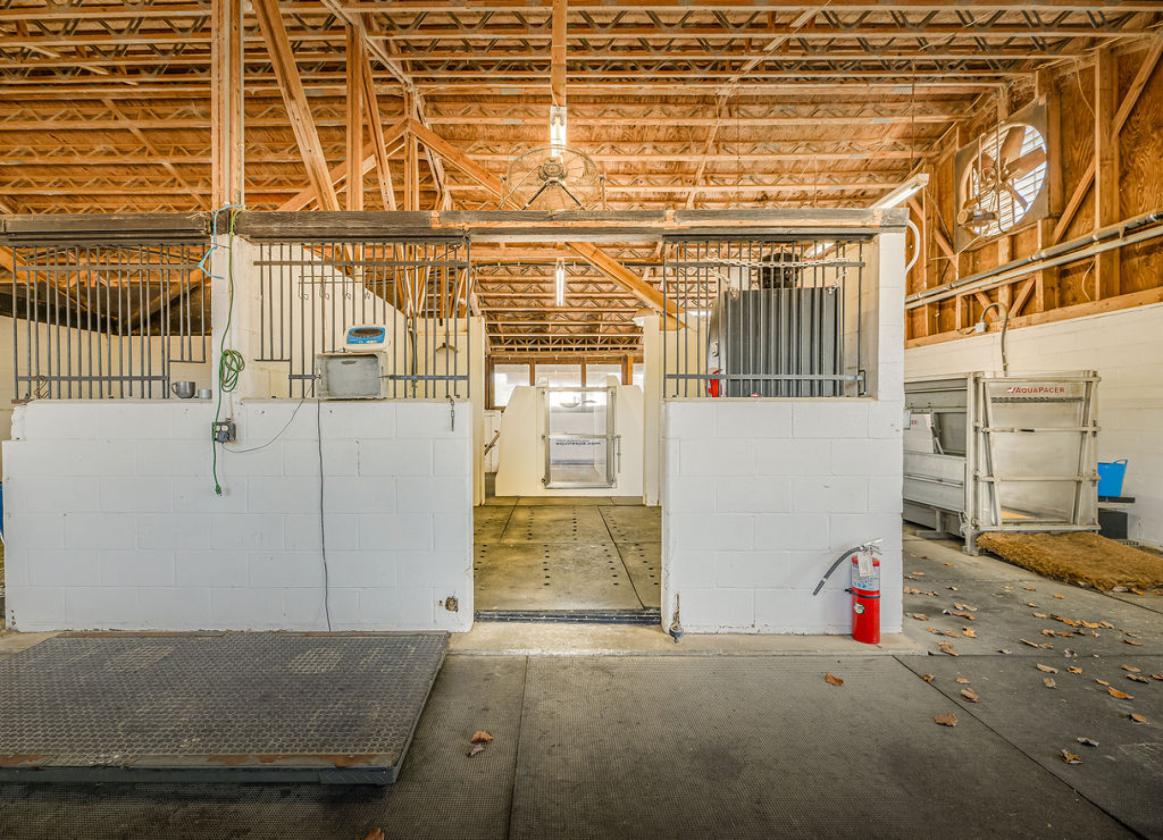 Turn-Key Boarding, Training, and Breeding Farm - photo 10