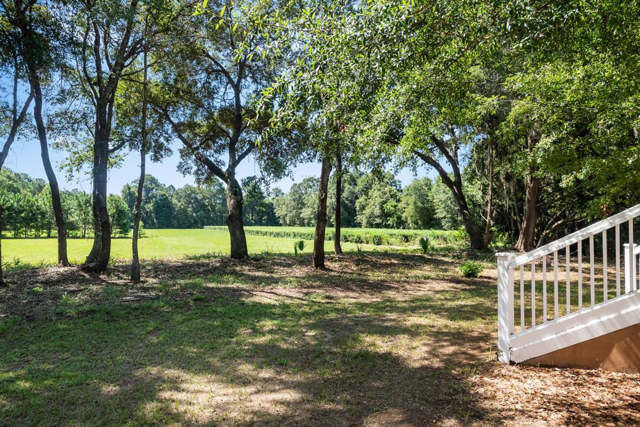 31 Acres with 4-Bedroom Raised Home - photo 9