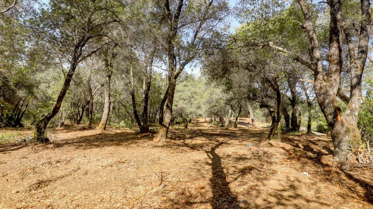 Your 5 Acre Sanctuary in Equestrian Community - photo 8