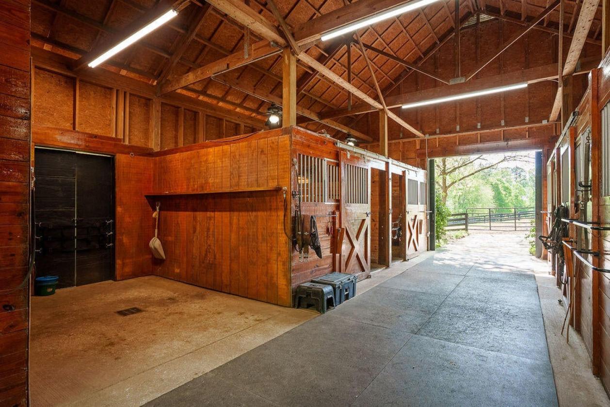Exceptional Equestrian Living in Mt Vintage - photo 12