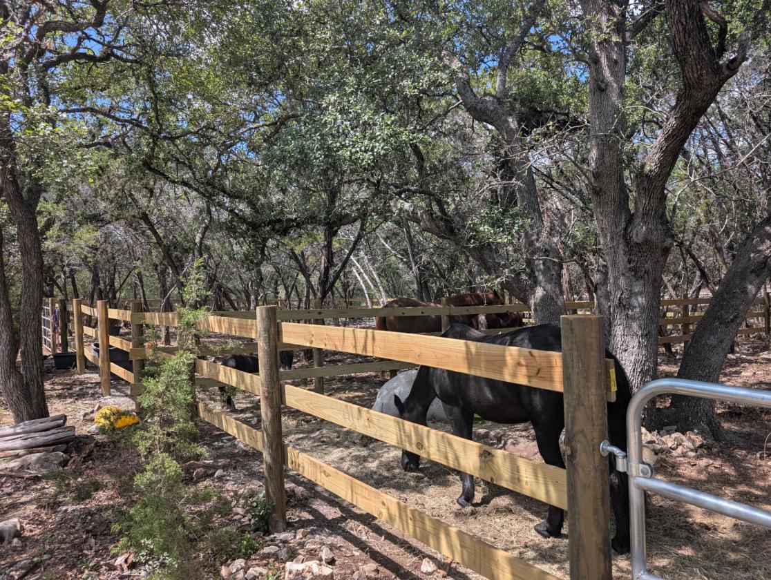 Pasture(s) Land for Lease with Arena Access - photo 3