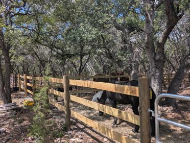 Property image.