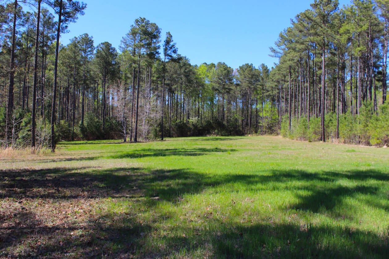 The Fields Equestrian Community Carthage, Moore County, North