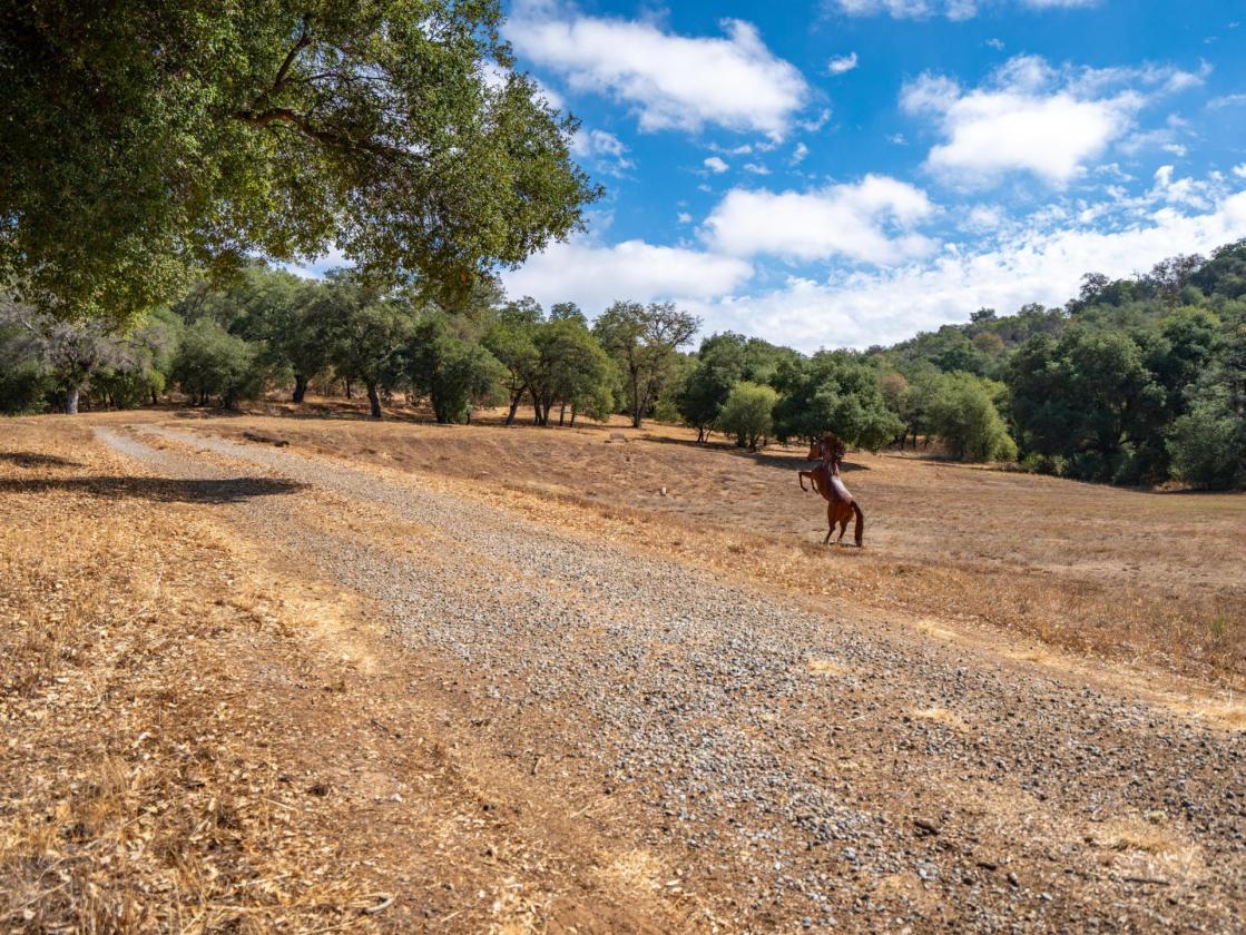 Meadow Ranch - photo 7