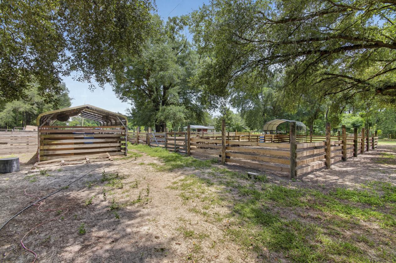 10-acre agricultural property - photo 13