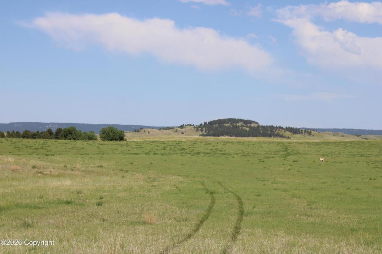 WY Horse Property with Views and NO Covenants! - photo 14