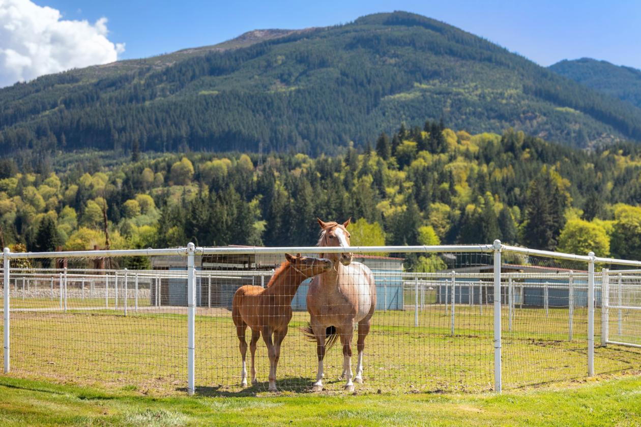 Rhodes River Ranch | A Legendary Equestrian Estate - photo 17