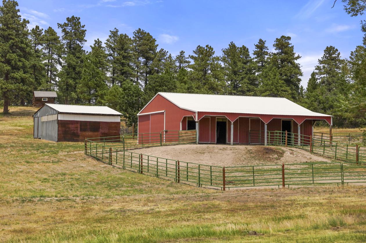 50 Acre Equestrian Estate - photo 27