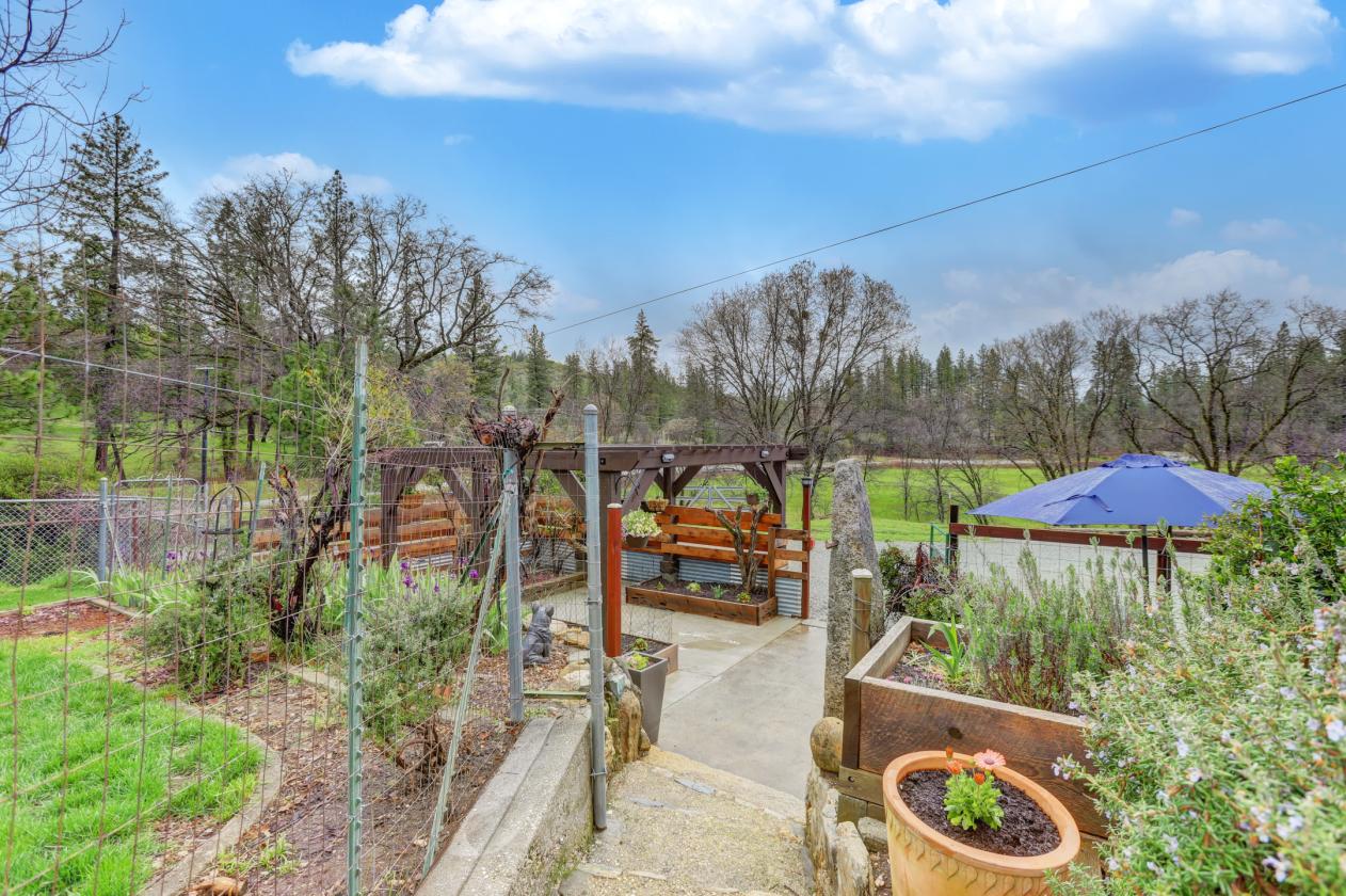 Country Living with Horse Potential - photo 21
