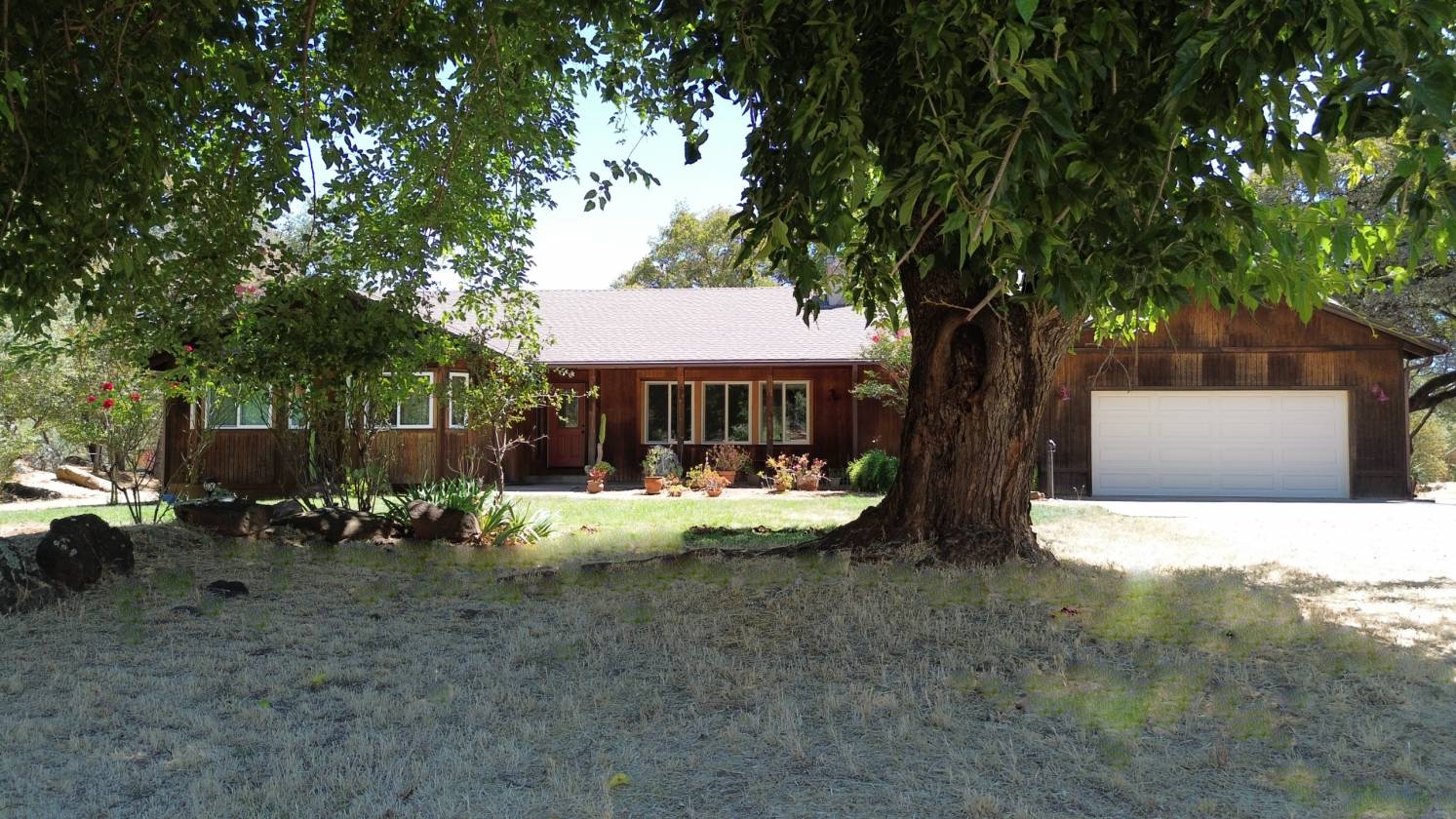 Horse Property for sale.