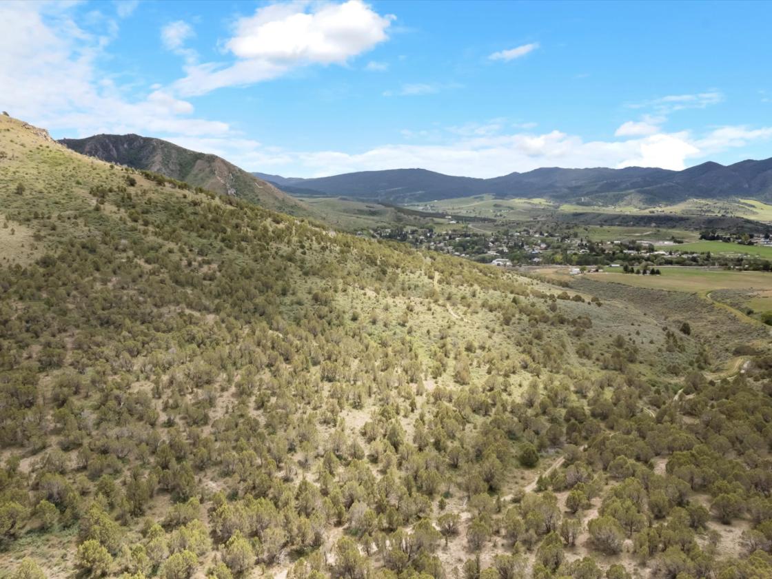 Horse Property on 138+/- Acres Bordering BLM - photo 8