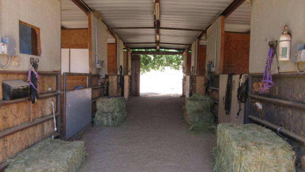 Horse Breeder and Horse Boarders Wanted!!! Kingman, Mohave County