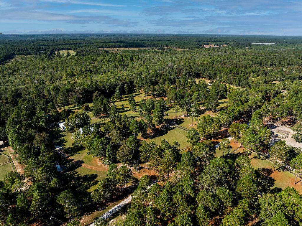 Miles of trails right off Camden equestrian estate - photo 9