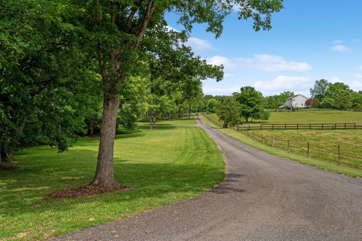Stunning 55-Acres of Virginia Beauty - photo 8