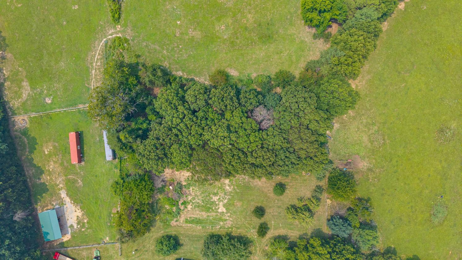 Ironwood Farm offering over 75 acres - photo 23