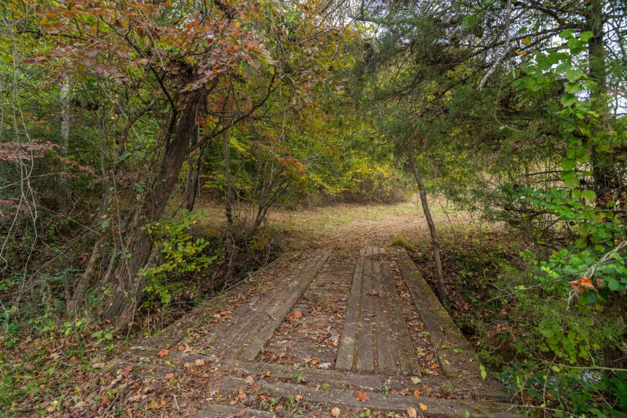 Over 38 Acres Ready for Horses and Priced to Sell! - photo 14