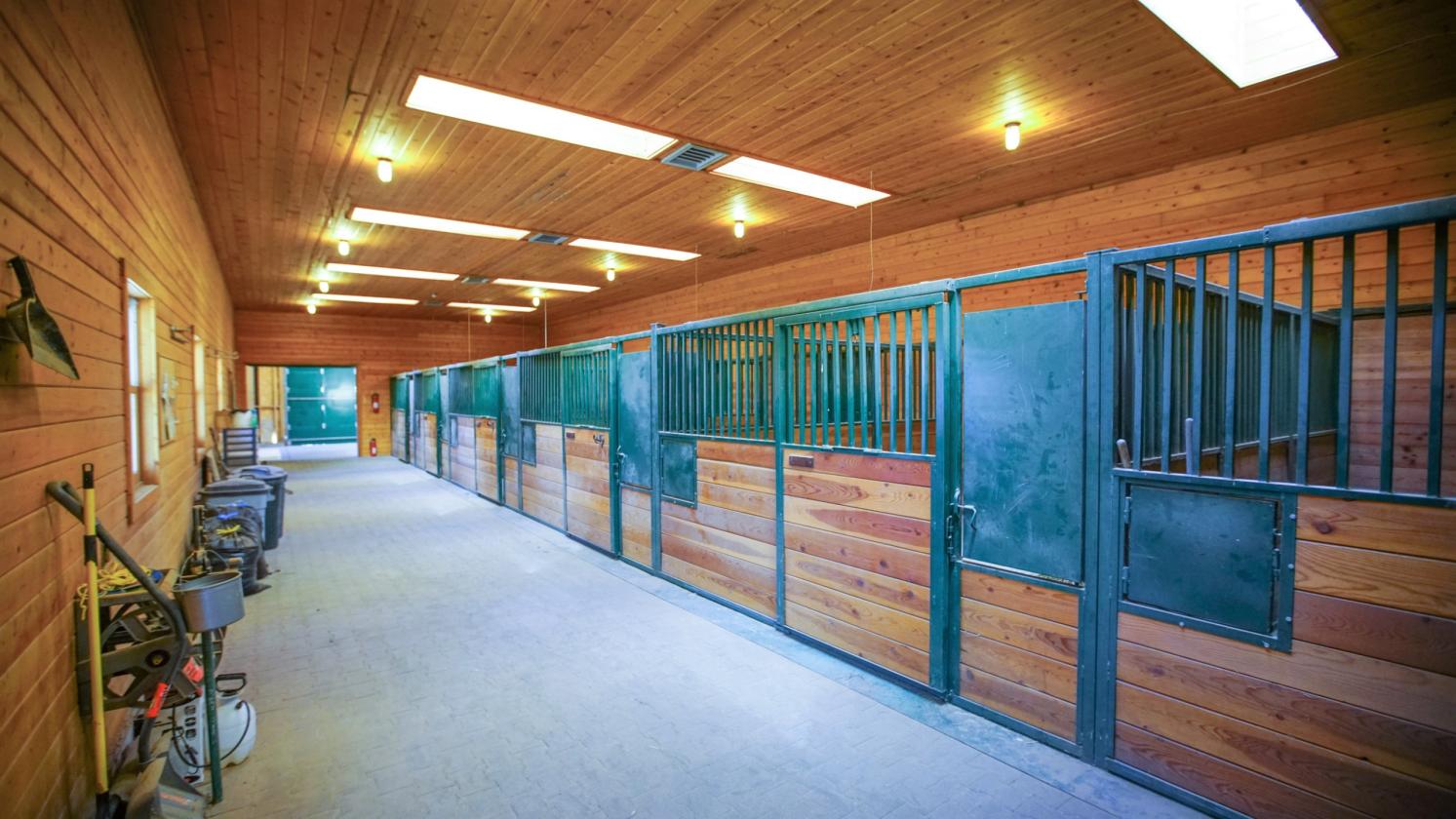 Luxury Equestrian Estate in a Gated Community - photo 30