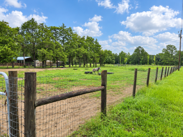 Property image.
