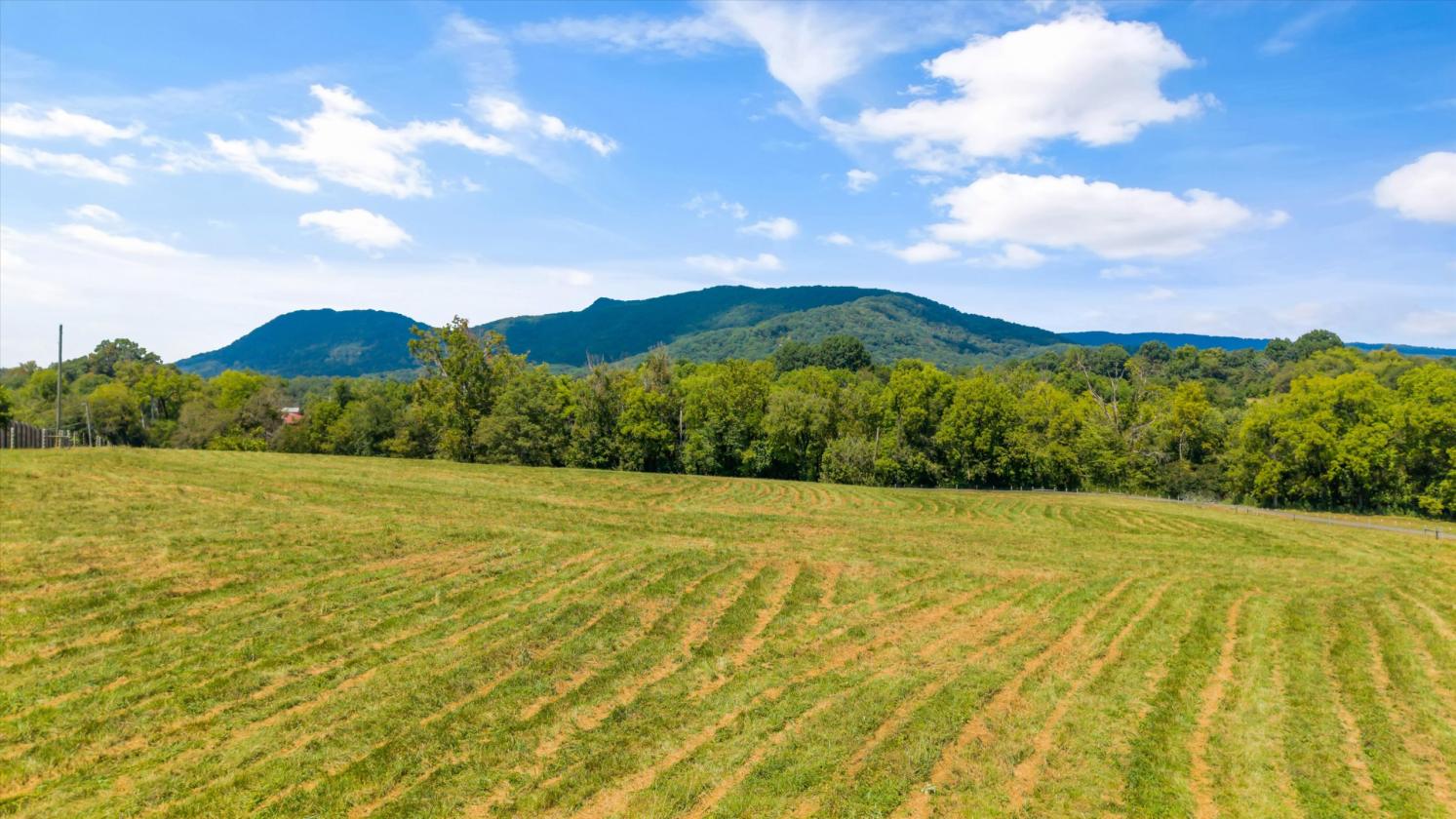 50 Acre Farm | Luxury Home + Equestrian Business - photo 27
