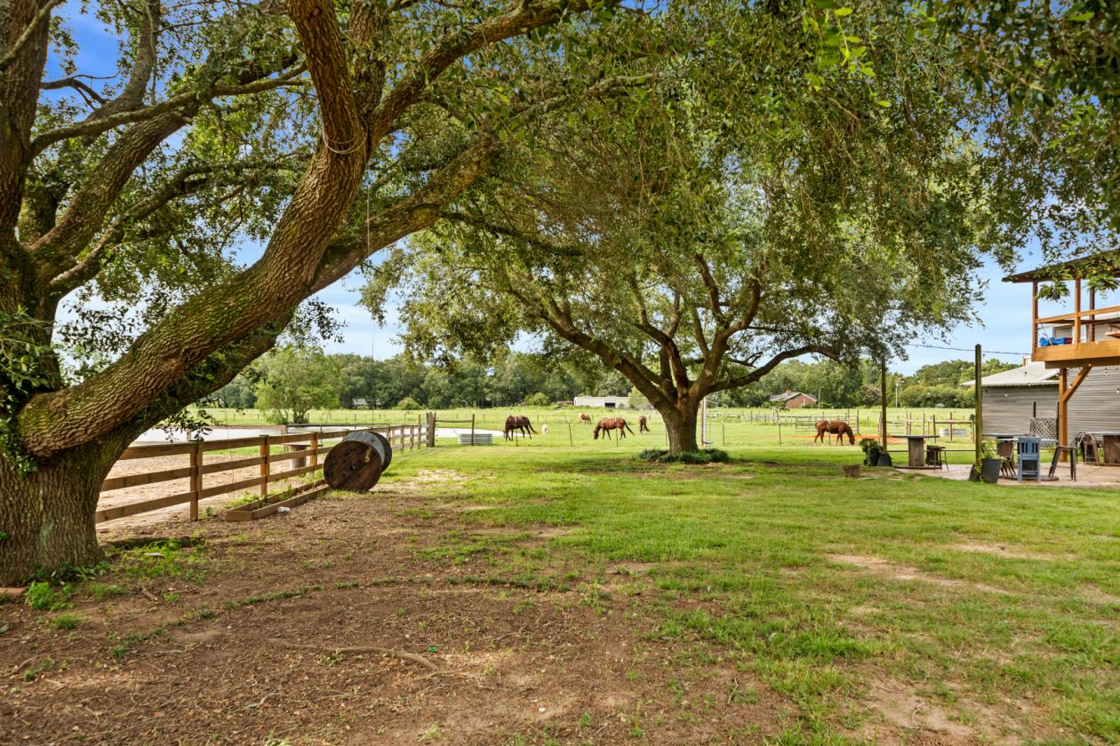 Turnkey Luxury Equestrian Estate - photo 30