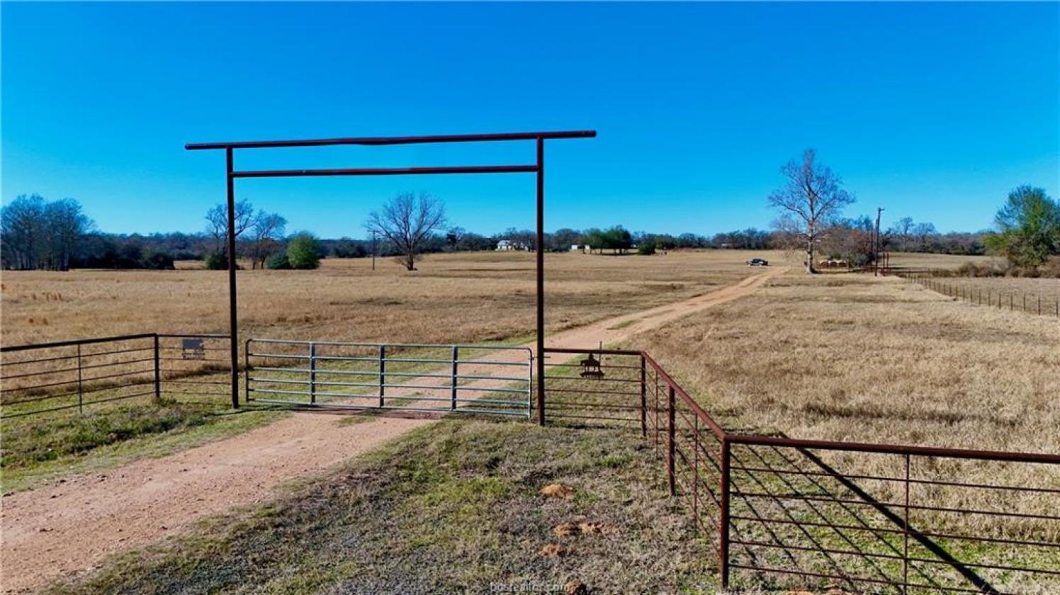 Horse Friendly and Family ready! - photo 2