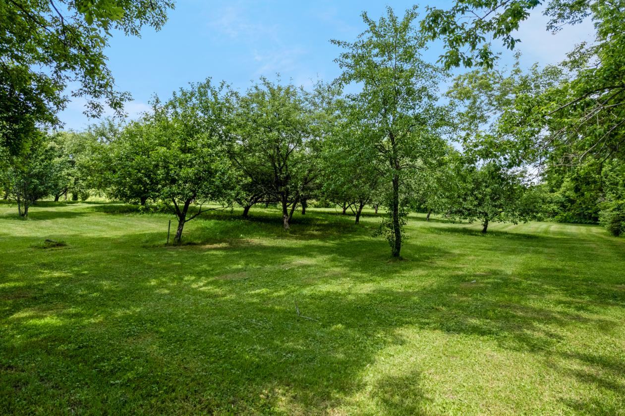 LUXURIOUS 195 ACRE EQUESTRIAN ESTATE - photo 27
