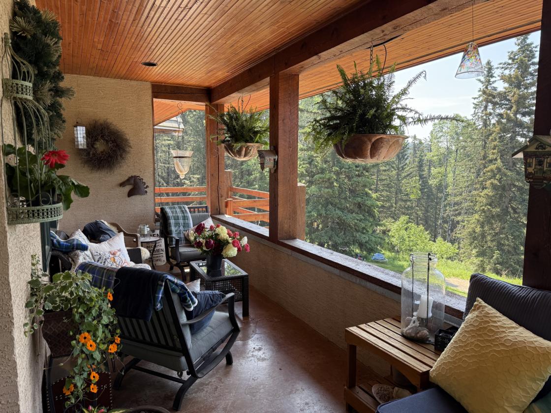 20 ACRES OF FOREST PARADISE - photo 28