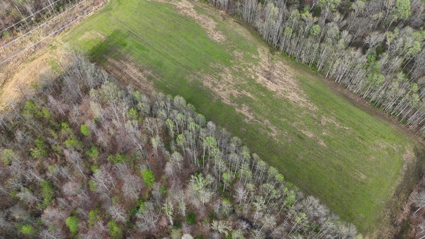 Excellent Acreage For Future Equestrian Property - photo 11