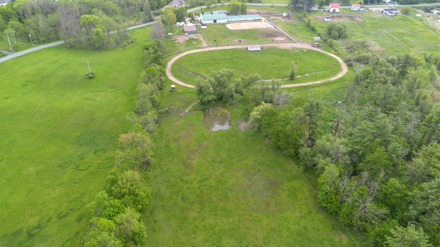 Equine training facility in the Capital District - photo 5