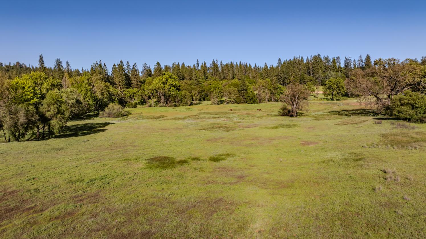 40 Acres - Fully ADA/Wheelchair Accessible - photo 14