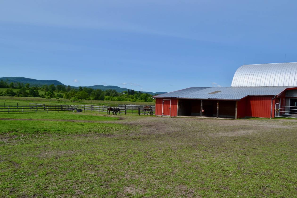 STUNNING HORSE FARM & FARM HOUSE WITH A VIEW... Canajoharie