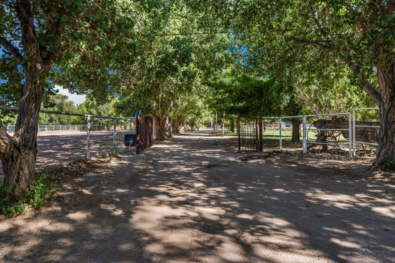 Refined Rural Living with Equestrian Facilities - photo 3