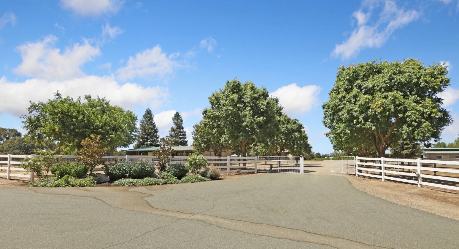 Estate with 7 pastures, 2 homes, lake, Vineyard - photo 10