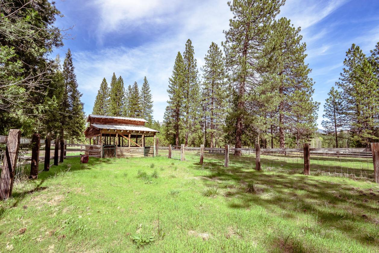Horse Property with a Pond! - photo 4