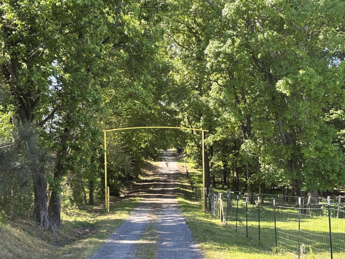 344 acres of Unmatched Beauty - photo 2
