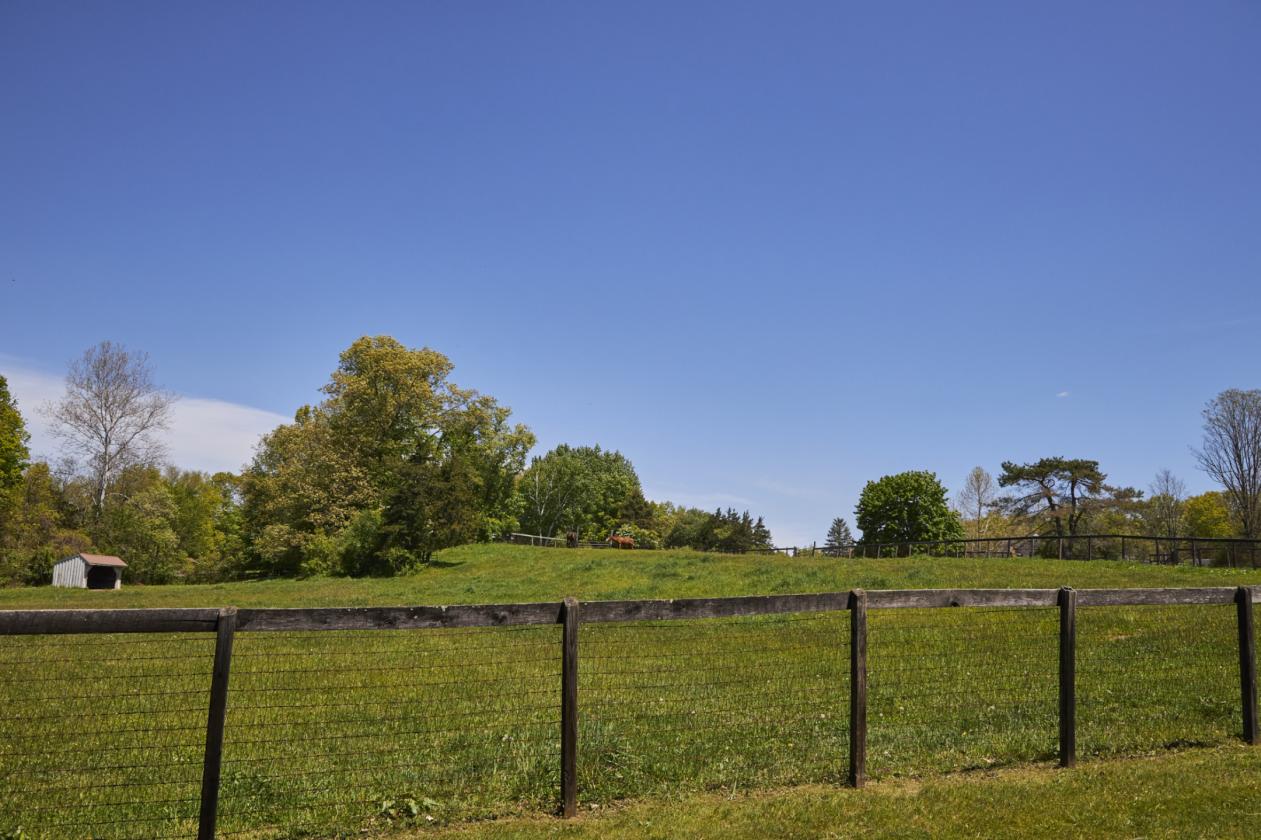 WhistleWood Farm - photo 18