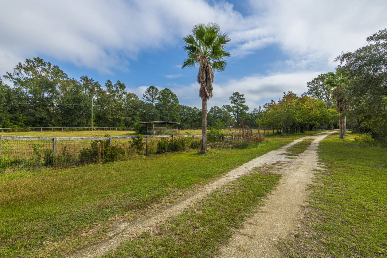 Small Horse Farm just forty five minutes to historic Charleston