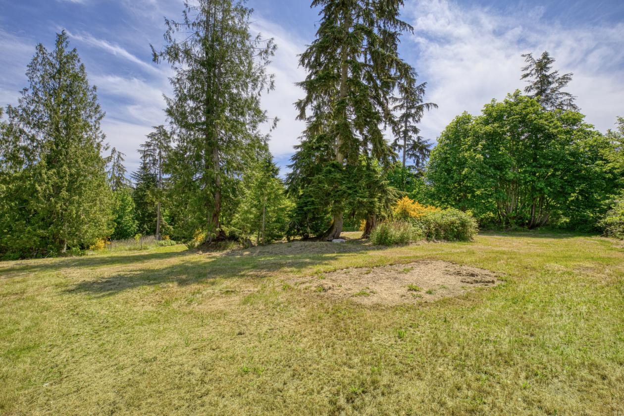 PNW Acreage with trails for Equestrians! - photo 11