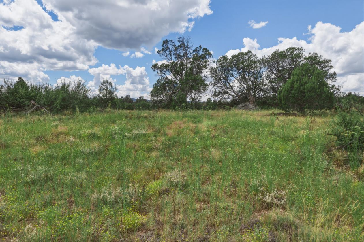 200 Acres in Yavapai County - photo 22