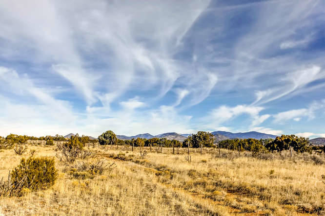 155 VIEW Acres - photo 19