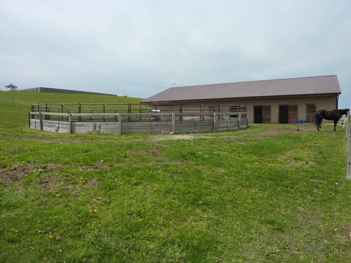 15.55 Acre Horse Farm in Halifax, PA Halifax, Dauphin County