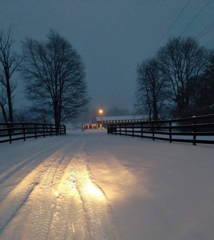 16.59 Acre Equestrian Estate - photo 30
