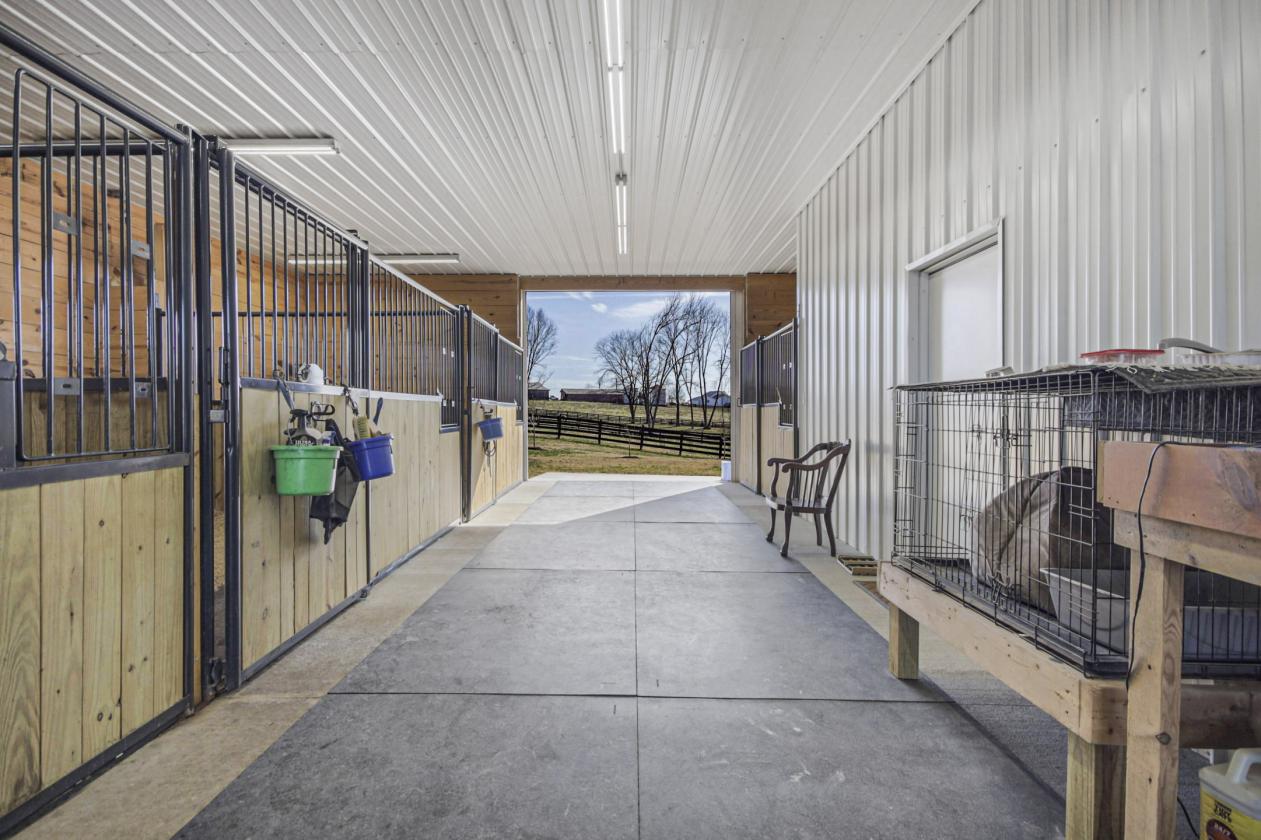 (Price Reduction) Horse Lover’s Dream Estate - photo 4