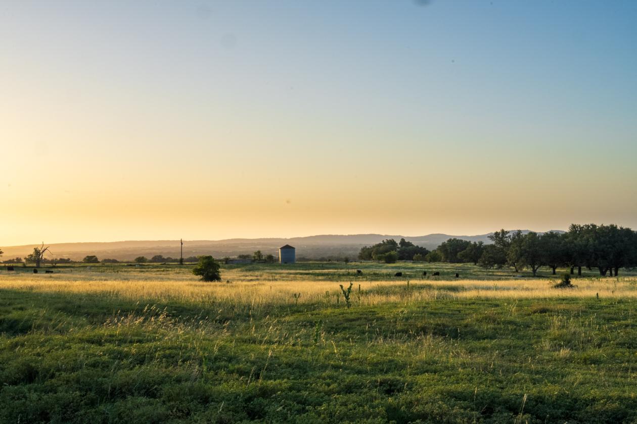 Equestrian Property On the Texas Wine Trail - photo 3