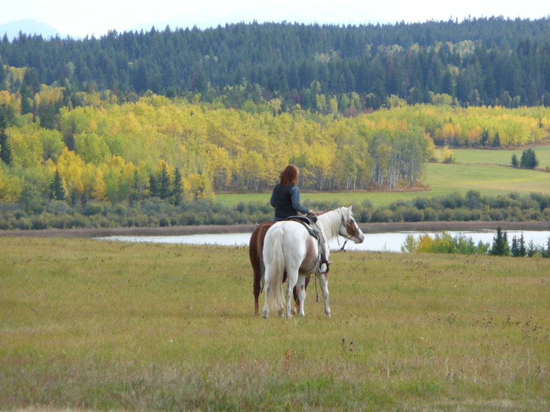 LIMESTONE MOUNTAIN RANCH HORSES, CATTLE, RECREATION Big Lake Ranch